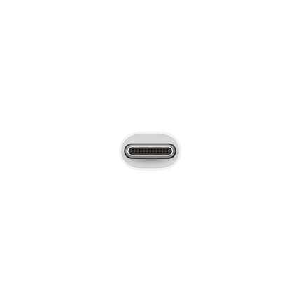 Apple USB-C VGA Multiport Adapter