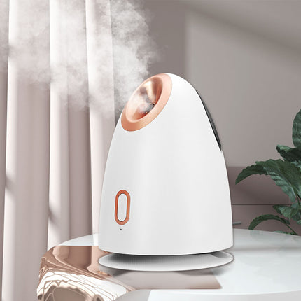 Face Steamer Thermal Spray