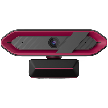 LORGAR Rapax 701, Streaming Camera,2K 1080P/60fps, 1/3'',4Mega CMOS Image Sensor, Auto Focus, Built-in high sensivity low noise cancelling Microphone,Pink coating color, USB 2.0 Type C , L=2000mm, size: 105x46.8x62.5mm, Weight: 108g