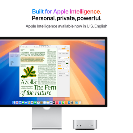 Mac mini: Apple M4 chip with 10‑core CPU and 10‑core GPU, 16GB, 256GB SSD,Model A3238