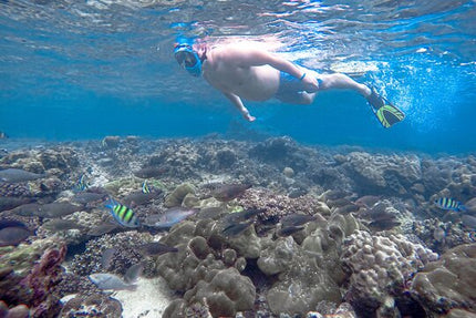 Phi Phi Islands Day Trip + Seaview Lunch.