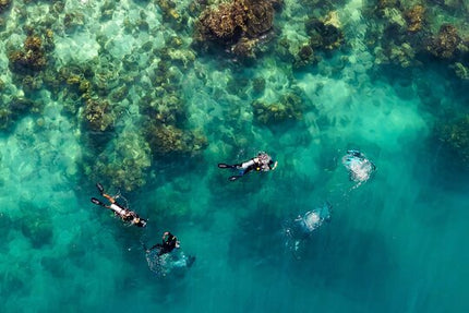 Phi Phi, Khai & Maya: Unforgettable Island Hopping by Speedboat.