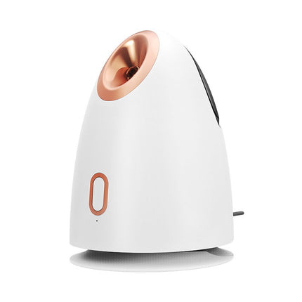 Face Steamer Thermal Spray