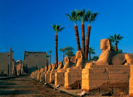 Cairo Alexandria Luxor (6 Nights / 7 Days)