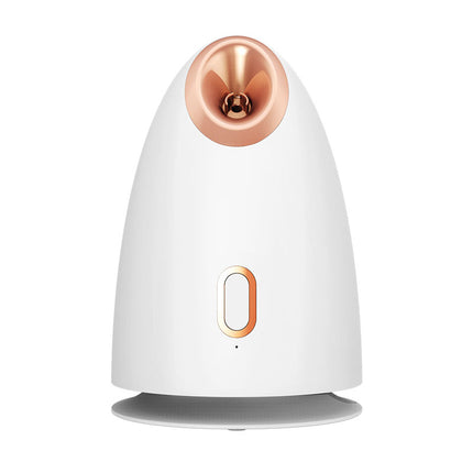 Face Steamer Thermal Spray