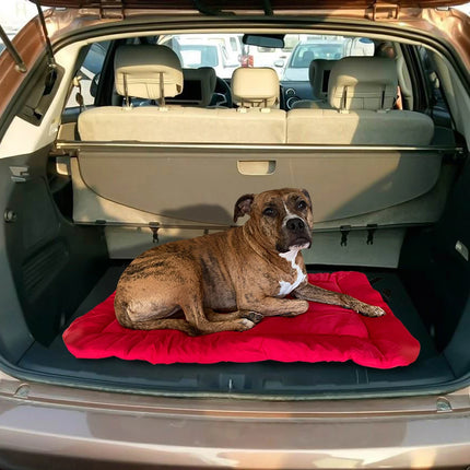 Portable Dog Bed