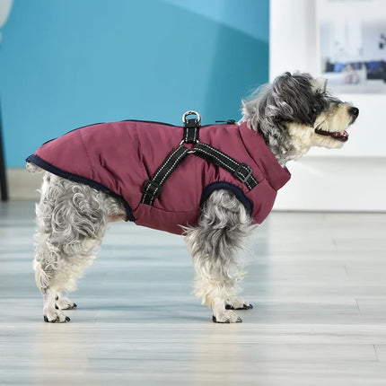 Dog Winter Jacket