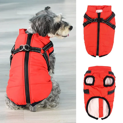 Dog Winter Jacket
