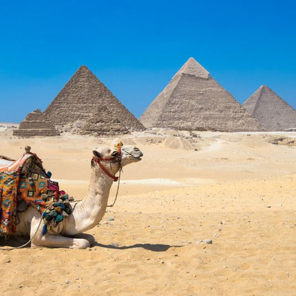 Highlights of Egypt (5 Nights / 6 Days)