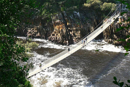 26-Day Cape Town Highlights And Safari Pre Cruisetour
