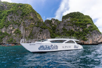 Full-Day Phi Phi and Maiton Islands Tour by Speed Catamaran.