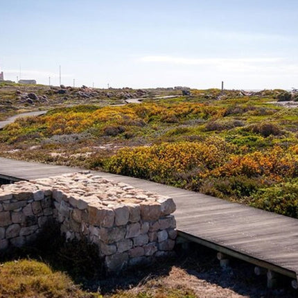 From Cape Town: Cape Agulhas Full Day Tour with Hotel Pick UP