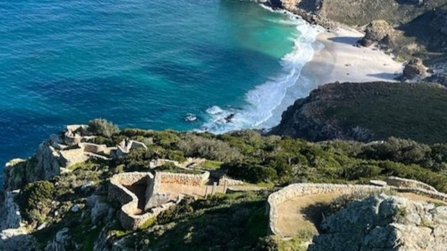 Cape Point & Boulders Beach Private Tour with Penguin Encounter