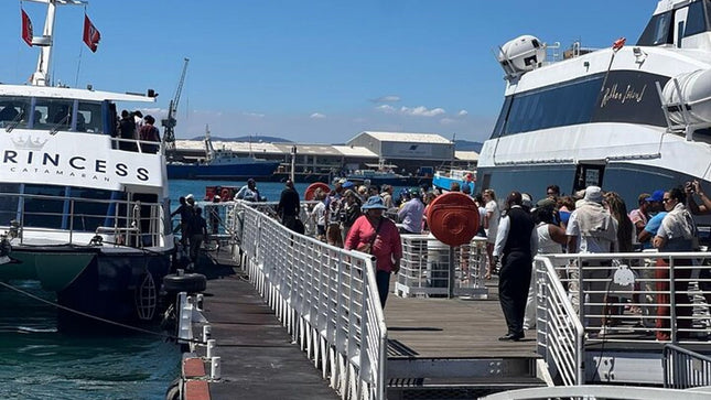 Robben Island Half Day Tour With Pre Booked Ticket from Cape Town