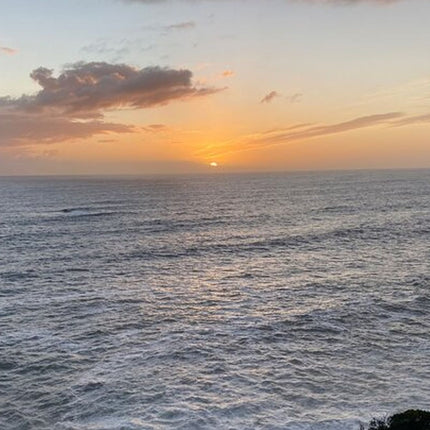 Cape Town and Cape of Good Hope Private Full-Day Tour