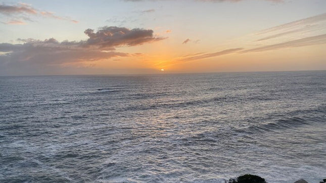 Cape Town and Cape of Good Hope Private Full-Day Tour