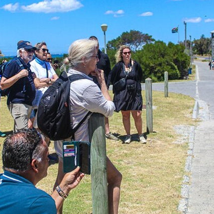 Half Day Experience in Robben Island Museum From Cape Town