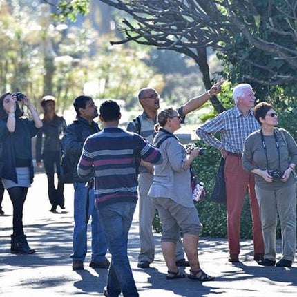 Cape Town Walking Experience & Nelson Mandela Legacy Exhibition