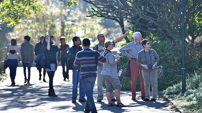 Cape Town Walking Experience & Nelson Mandela Legacy Exhibition