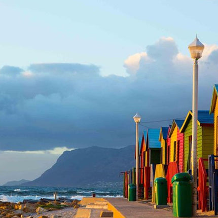 Cape Point Explore with Boulder's Penguins Small Group Day Tour