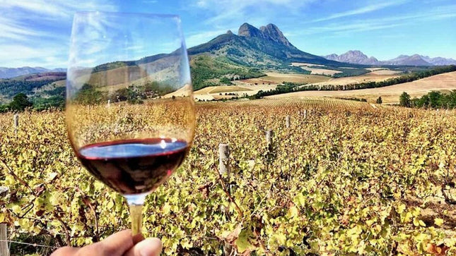 Private Full Day Stellenbosch Wine Tour
