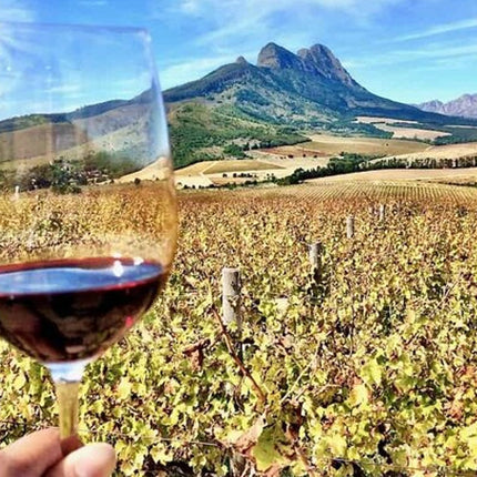 Private Full Day Stellenbosch Wine Tour