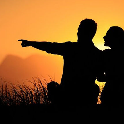 Cape Town by Night: Small-Group Guided City Tour