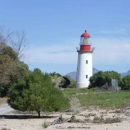Robben Island Half Day Tour.