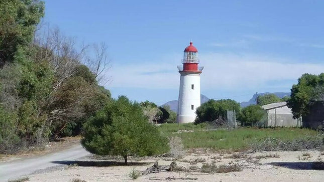 Robben Island Half Day Tour.