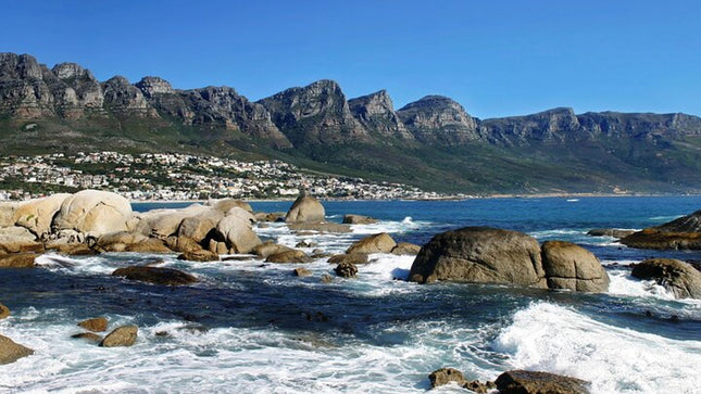 Combo Marine Wildlife Cruise & Cape Point Full Day Tour in CT