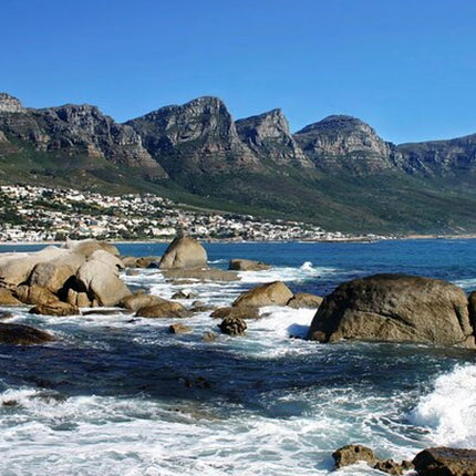 Combo Marine Wildlife Cruise & Cape Point Full Day Tour in CT
