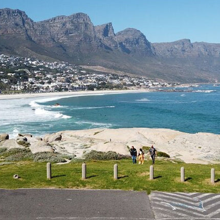 Table Mountain, Cape of Good Hope, Penguins and Sightseeing tour