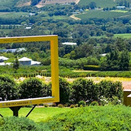 Cape Town: Private 3 Wine Regions Tour + Hotel Transfer