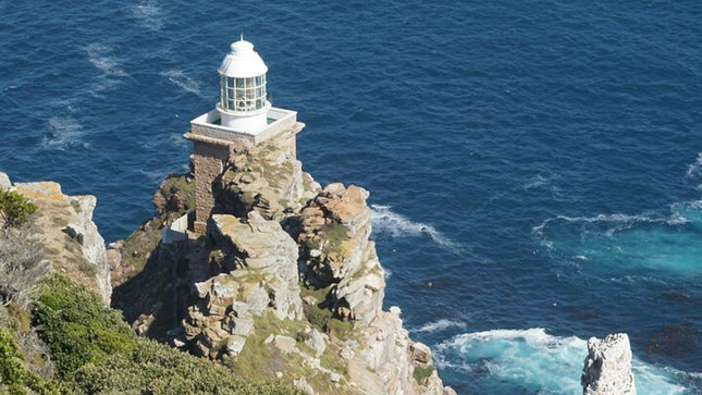 Small Group Cape of Good Hope, Boulders and Cape Point