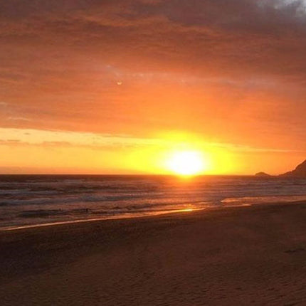 3 Day Big 5 and Bungee Tour - Garden Route Small Group Tour from Cape Town