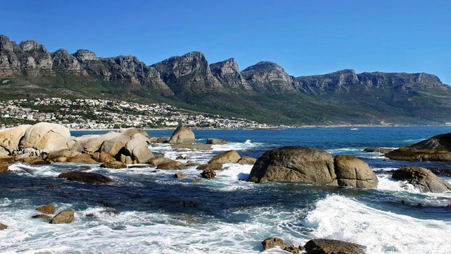 Combo Marine Wildlife Cruise & Cape Town City Full Day Tour