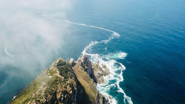 Full day Cape Peninsula Tour