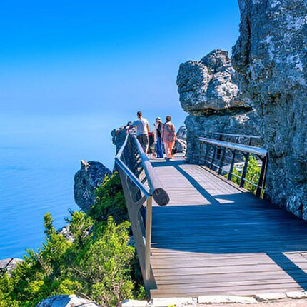 Cape Town City and Table Mountain Tour