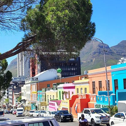 Cape Town City Tour Half-Day