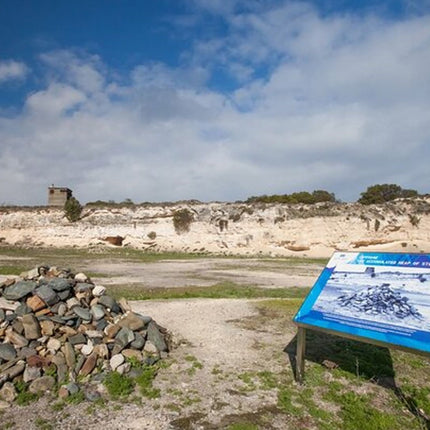Robben Island and District Six Day Tour