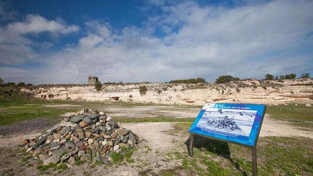 Robben Island and District Six Day Tour