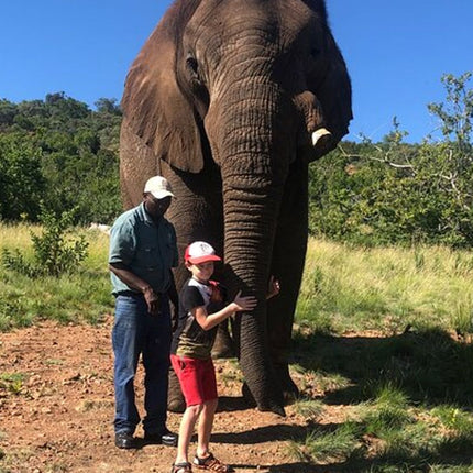 Elephant & Monkey Sanctuary Tour from Johannesburg