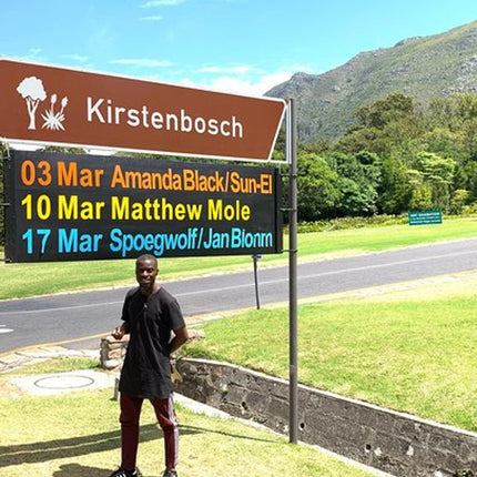 Robben Island Ticket, Kirstenbosch & South African Wine Tasting Small Group Tour