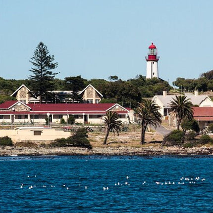Guided Private Historical City Tour in Cape Town