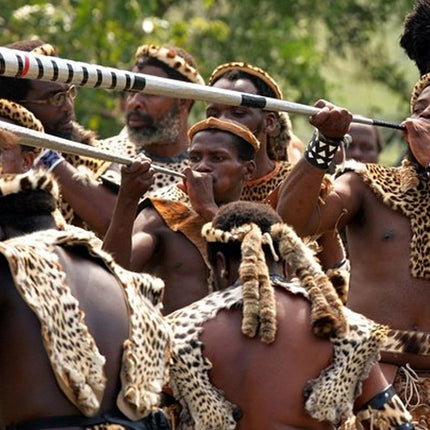 Private Guided Cultural Day Tour of Zulu Village & PheZulu Safari Park