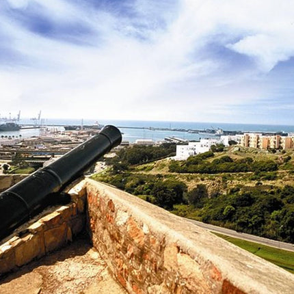 One-Way Hop-on Hop-off Bus from Cape Town to Port Elizabeth