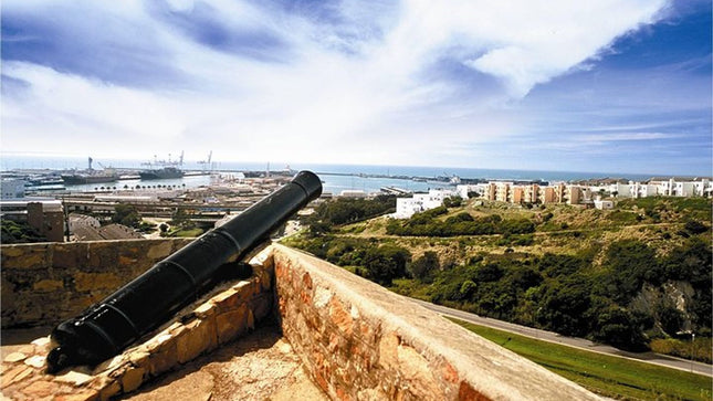 One-Way Hop-on Hop-off Bus from Cape Town to Port Elizabeth