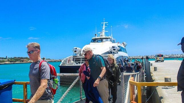Half Day Experience in Robben Island Museum From Cape Town
