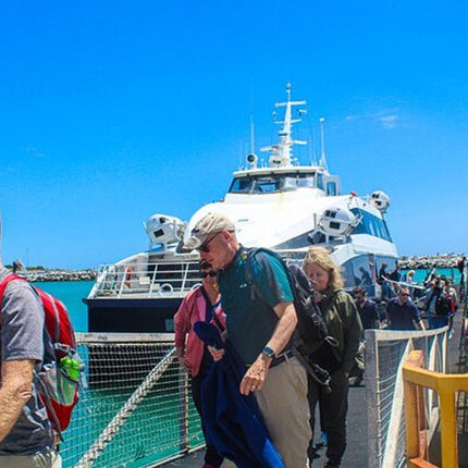 Half Day Experience in Robben Island Museum From Cape Town