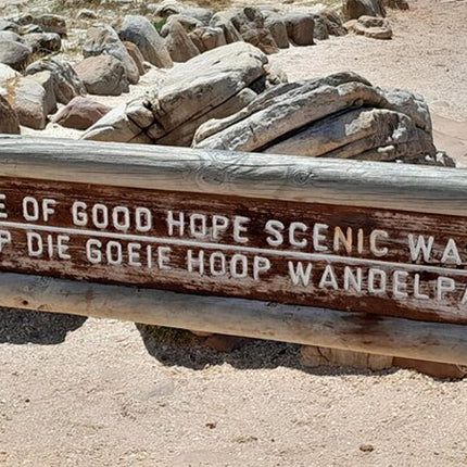 Cape of Good Hope Tour by Bus